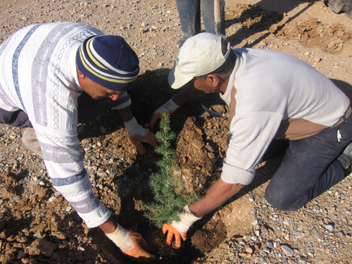 Ad: Fidan_Dikimi%20(4).jpg
Gösterim: 1145
Boyut: 253.2 KB Ad: Fidan_Dikimi%20(4).jpg
Gösterim: 1145
Boyut: 253.2 KB