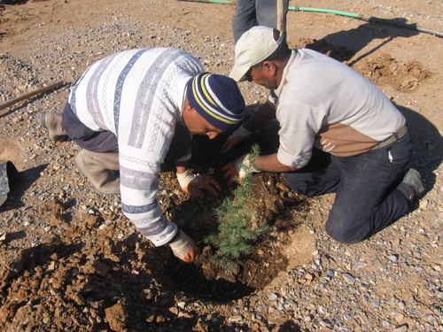 Ad: Fidan_Dikimi%20(5).jpg
Gösterim: 1345
Boyut: 265.1 KB Ad: Fidan_Dikimi%20(5).jpg
Gösterim: 1345
Boyut: 265.1 KB