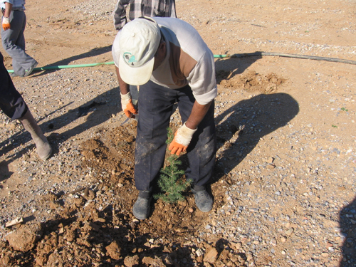 Ad:  Fidan_Dikimi%20(6).jpg
Gösterim: 820
Boyut:  276.9 KB