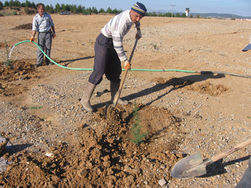 Ad: Fidan_Dikimi%20(7).jpg
Gösterim: 889
Boyut: 277.1 KB Ad: Fidan_Dikimi%20(7).jpg
Gösterim: 889
Boyut: 277.1 KB