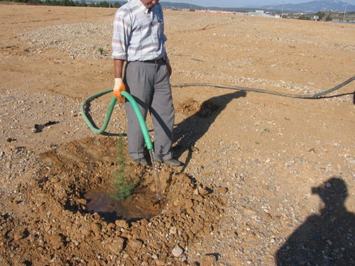 Ad: Fidan_Dikimi%20(8).jpg
Gösterim: 925
Boyut: 253.5 KB Ad: Fidan_Dikimi%20(8).jpg
Gösterim: 925
Boyut: 253.5 KB