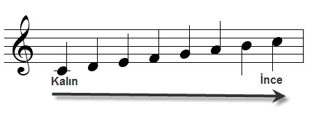 Alıntıdaki Ek 31410