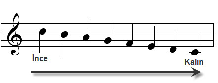 Alıntıdaki Ek 31411