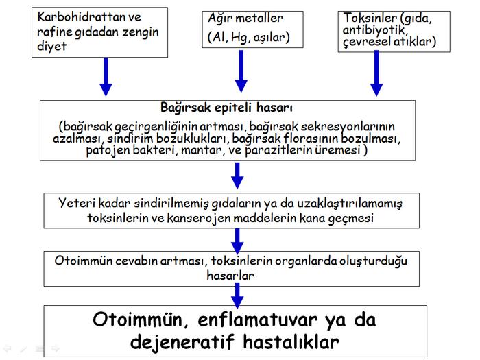 Ad: bagirsak-epiteli-hasari-zararlari.jpg
Gösterim: 2781
Boyut: 58.9 KB