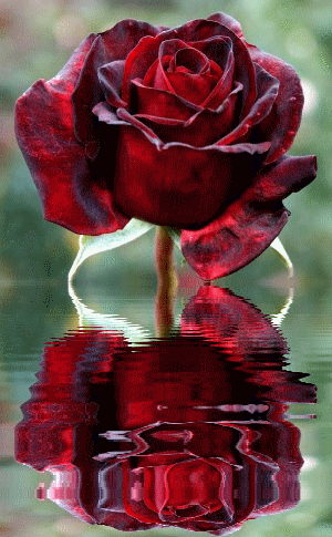 Ad:  resimdecom_9262471707.gif
Gsterim: 330
Boyut:  247.0 KB