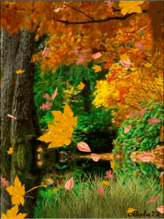 Ad:  osen.gif
Gsterim: 1016
Boyut:  875.5 KB