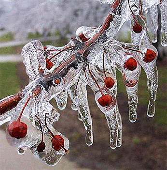 Ad:  __1_~1.gif
Gsterim: 354
Boyut:  392.3 KB