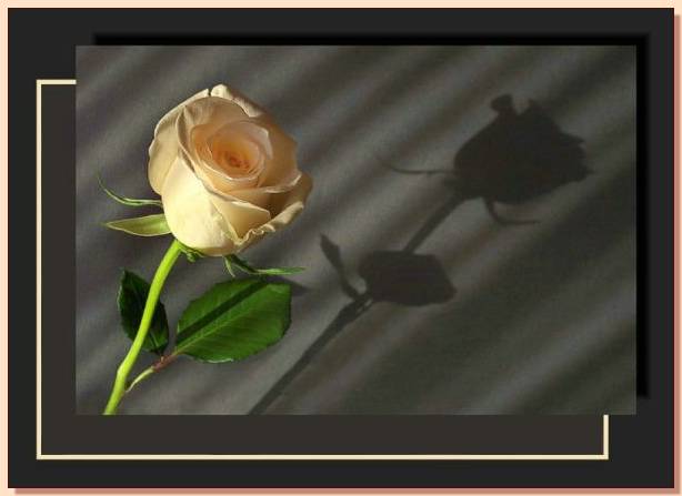 Ad:  gul_189.jpg
Gsterim: 305
Boyut:  24.4 KB