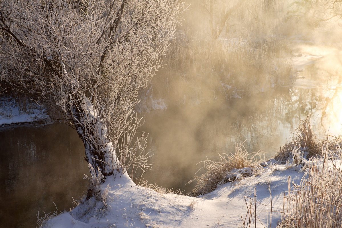 Ad:  ____by_fatalv-d8w8x7j.jpg
Gsterim: 346
Boyut:  470.4 KB