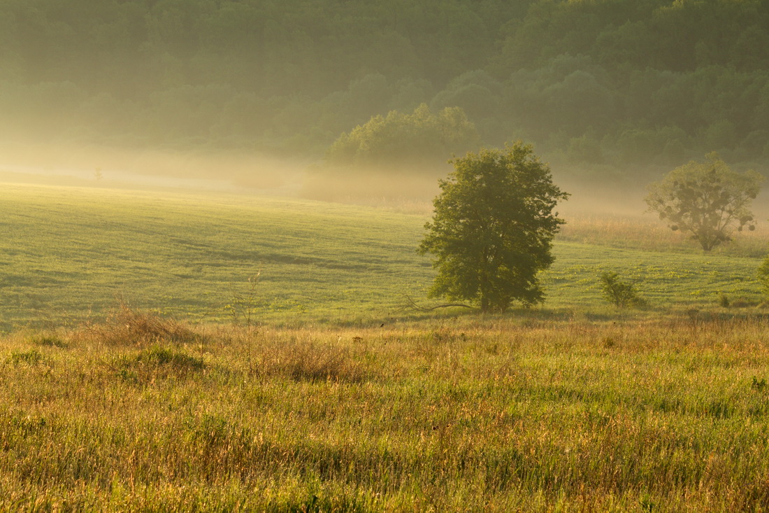 Ad:  ____by_fatalv-d8ua5vz.jpg
Gsterim: 264
Boyut:  368.4 KB