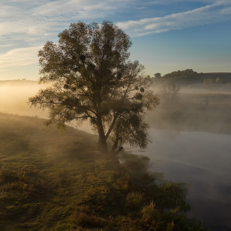 Ad:  ____by_fatalv-d8v2v38.jpg
Gsterim: 376
Boyut:  198.4 KB