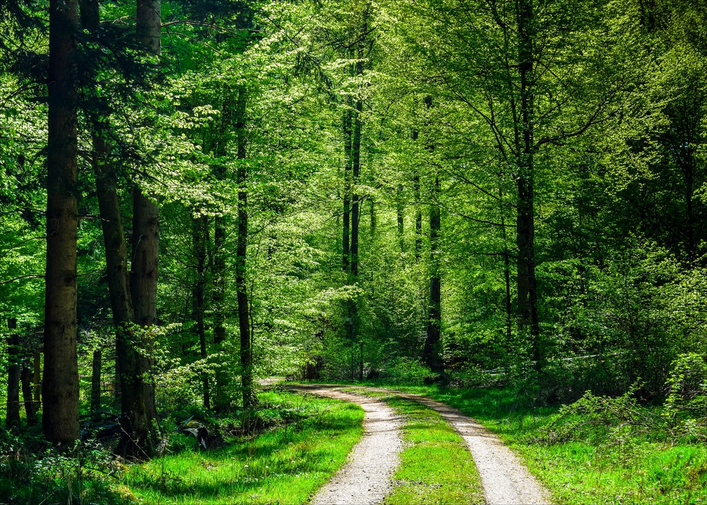 Ad: the_world_is_green_.jpg
Gösterim: 100
Boyut: 380.7 KB