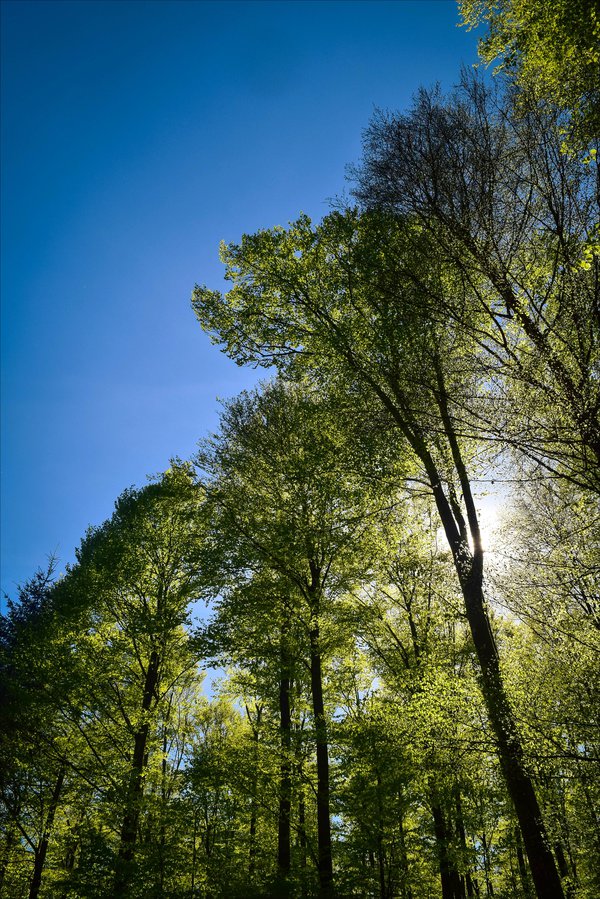 Ad:  light_up_by_aenea_jones-d8wuol5.jpg
Gsterim: 399
Boyut:  209.8 KB