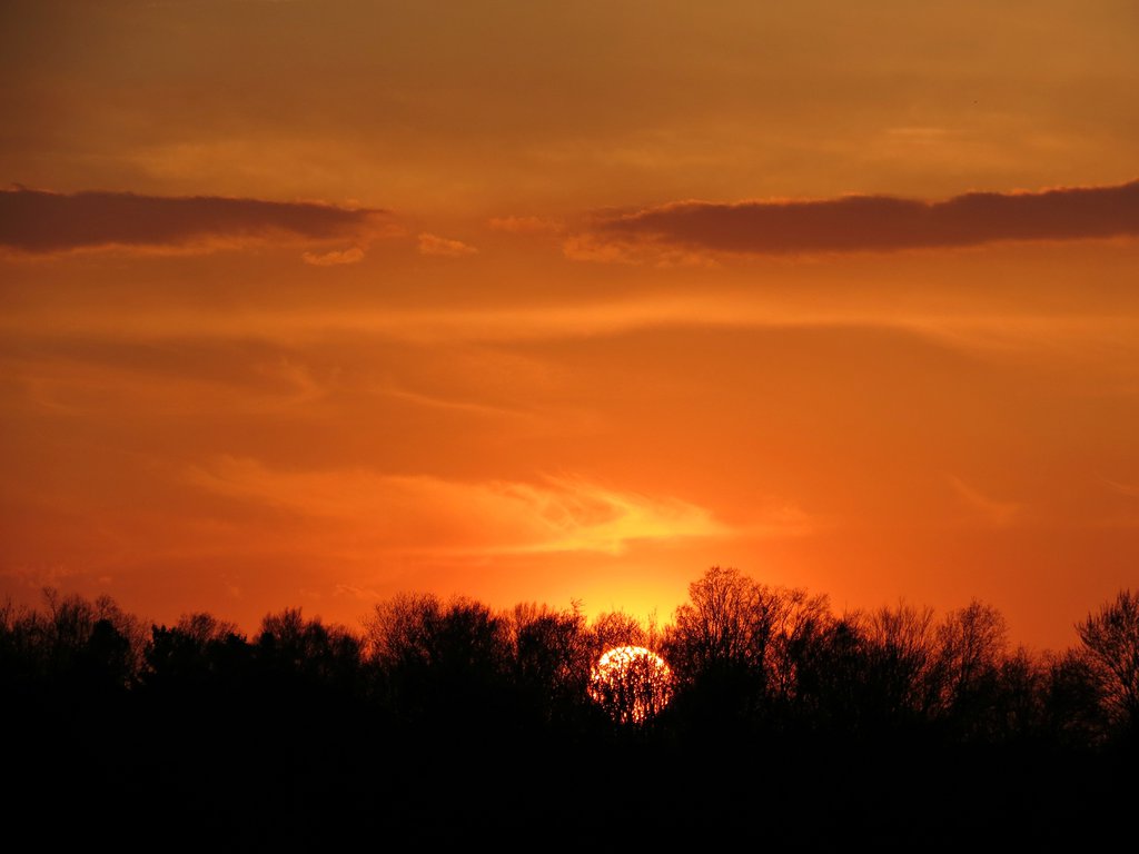 Ad:  zoomed_in_sunset_by_michies_photographyy-d8sbtja.jpg
Gsterim: 599
Boyut:  57.5 KB
