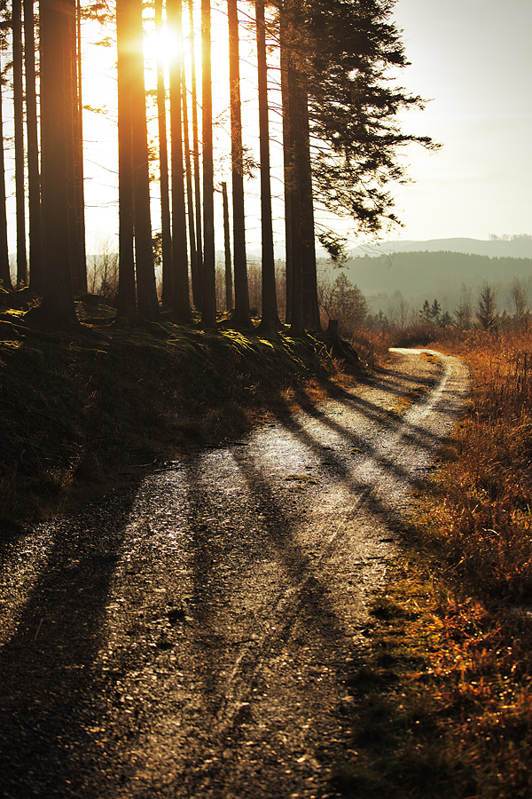 Ad:  firelighter_web_by_thinking_silence-d8fhwmp.jpg
Gsterim: 90
Boyut:  585.0 KB