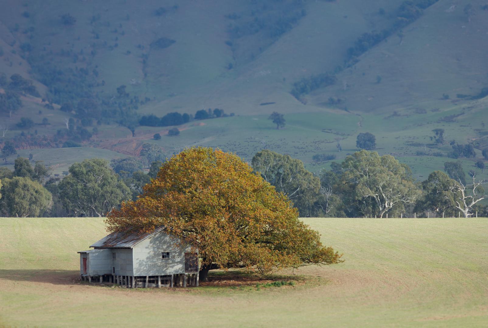 Ad:  solitude_by_aquilapse-d8xi5xi.jpg
Gsterim: 449
Boyut:  196.3 KB