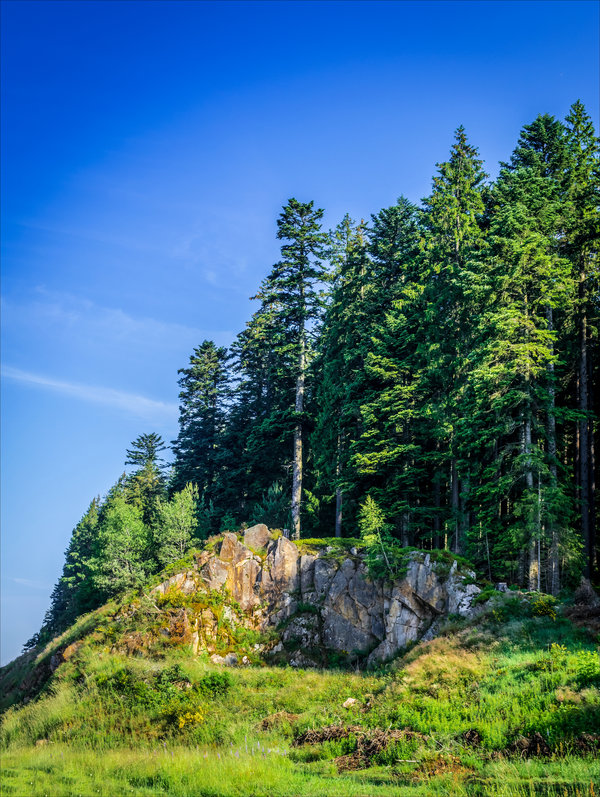 Ad:  a_forest_begins_here__by_aenea_jones-d8z7oau.jpg
Gsterim: 264
Boyut:  194.3 KB