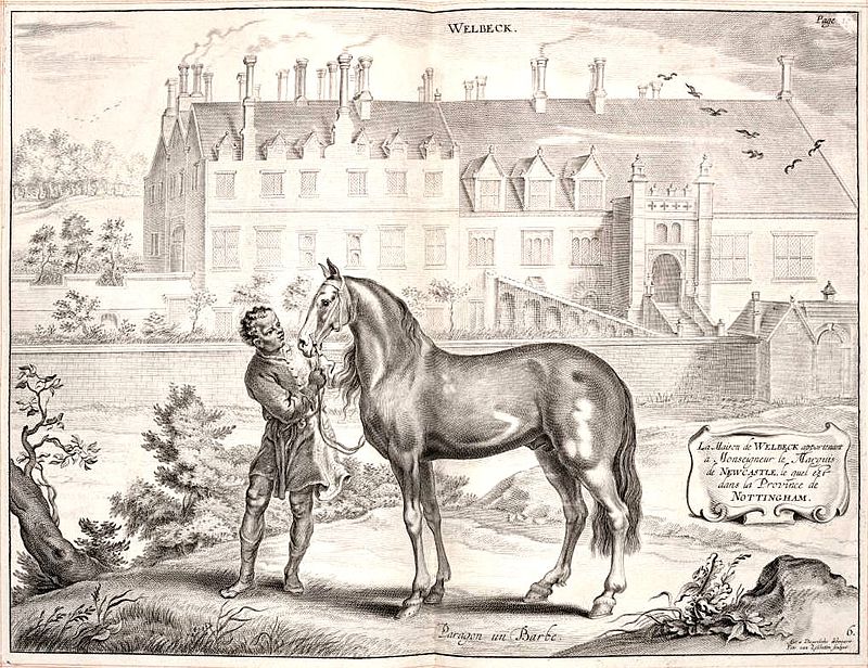 Ad: 800px-WELBECK_Paragon_un_Barbe.jpg
Gösterim: 202
Boyut: 163.5 KB