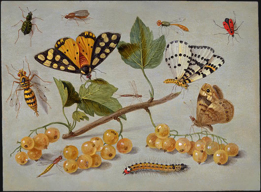 Ad: Jan_van_Kessel_(I)_-_Butterflies_and_Insects_-_WGA12140.jpg
Gösterim: 302
Boyut: 80.8 KB