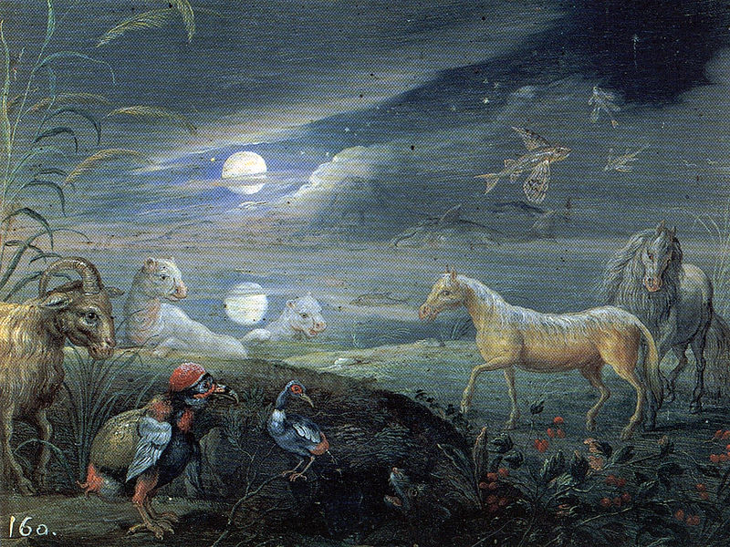 Ad: 800px-Lost_Animals_Van_Kessel.jpg
Gösterim: 354
Boyut: 200.0 KB