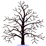 Ad:  avauser_6855.gif
Gsterim: 3030
Boyut:  18.1 KB