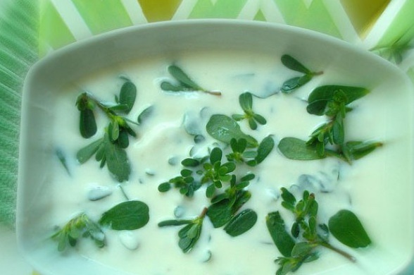 Ad: cacık-tarifi.jpg
Gösterim: 306
Boyut: 61.7 KB