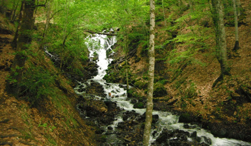 Ad: yedigoller28.jpg
Gösterim: 312
Boyut: 97.8 KB