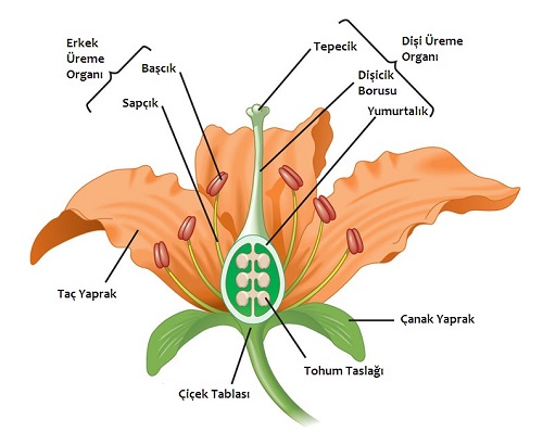 Ad: c763851009aeadec74cb64805d2f9588.jpg
Gösterim: 1768
Boyut: 60.9 KB