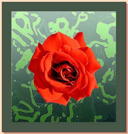 Ad:  gul_199.jpg
Gsterim: 247
Boyut:  41.1 KB