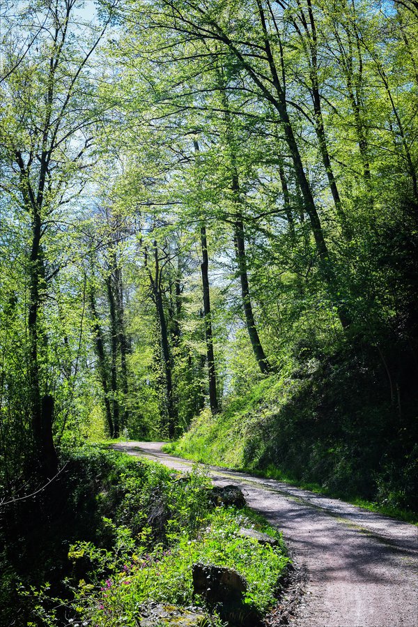 Ad:  the_world_is_green_v_by_aenea_jones-d921n4h.jpg
Gsterim: 89
Boyut:  281.3 KB