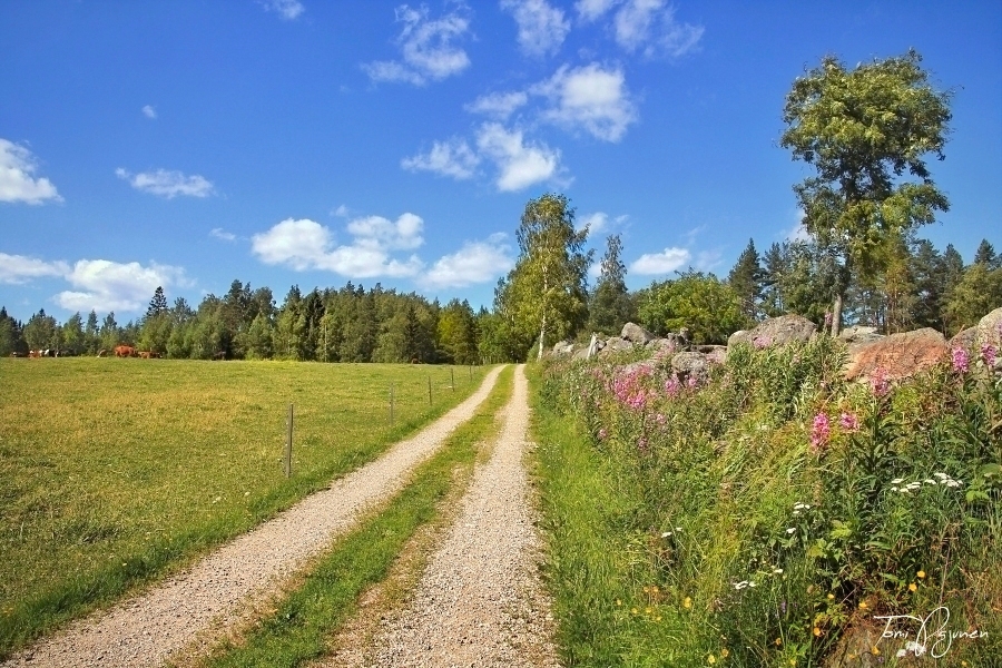 Ad:  country_road_by_pajunen-d8w3wye.jpg
Gsterim: 90
Boyut:  523.8 KB