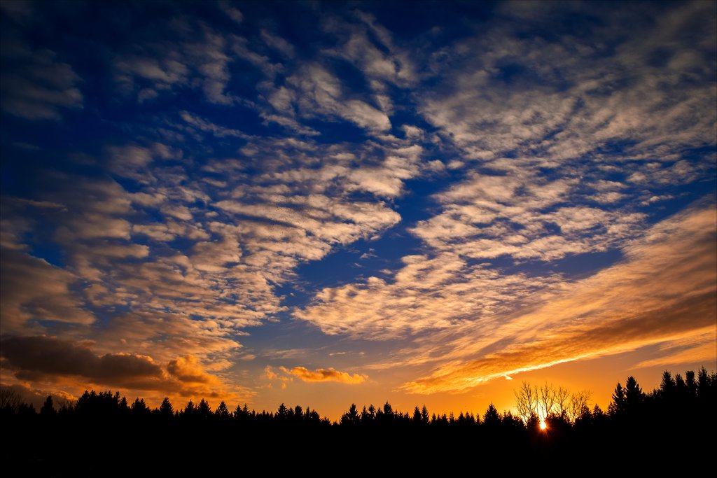 Ad:  dawn_ii_by_aenea_jones-d8zwyiu.jpg
Gsterim: 566
Boyut:  114.5 KB