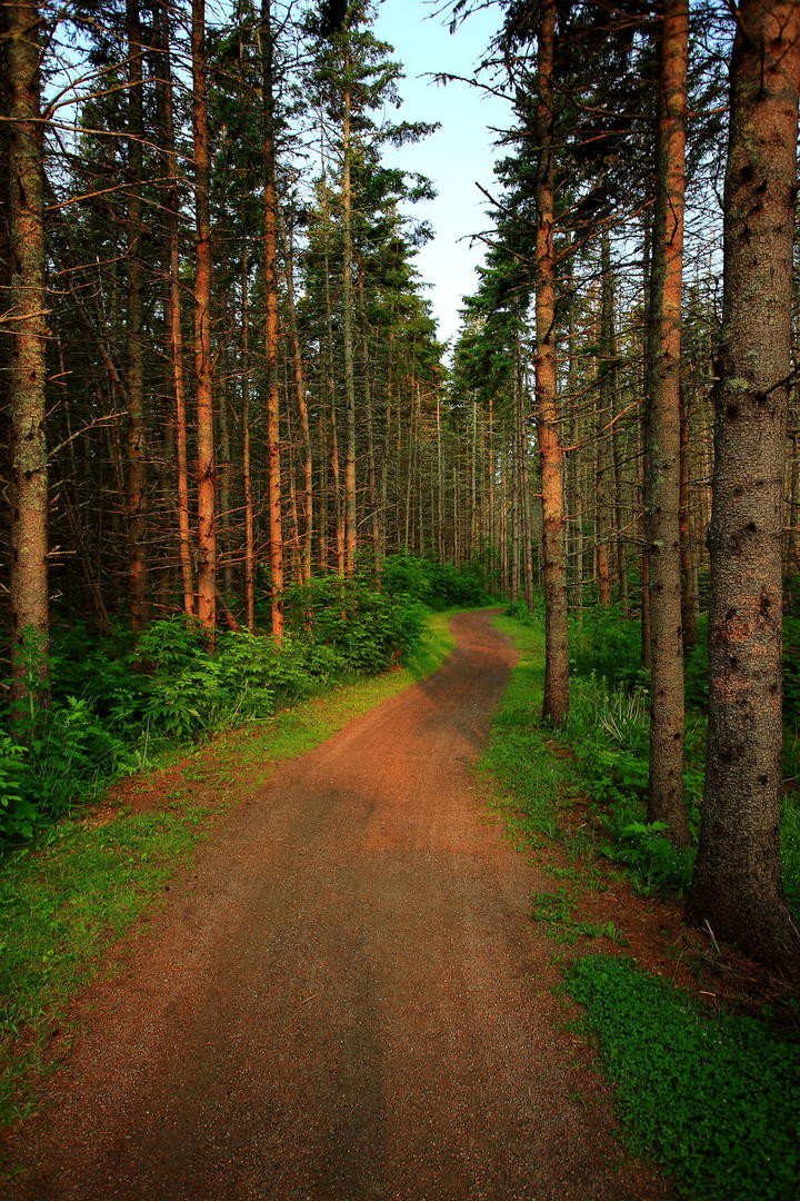 Ad:  stock__morning_trail_by_celem-d90wz97.jpg
Gsterim: 85
Boyut:  241.3 KB