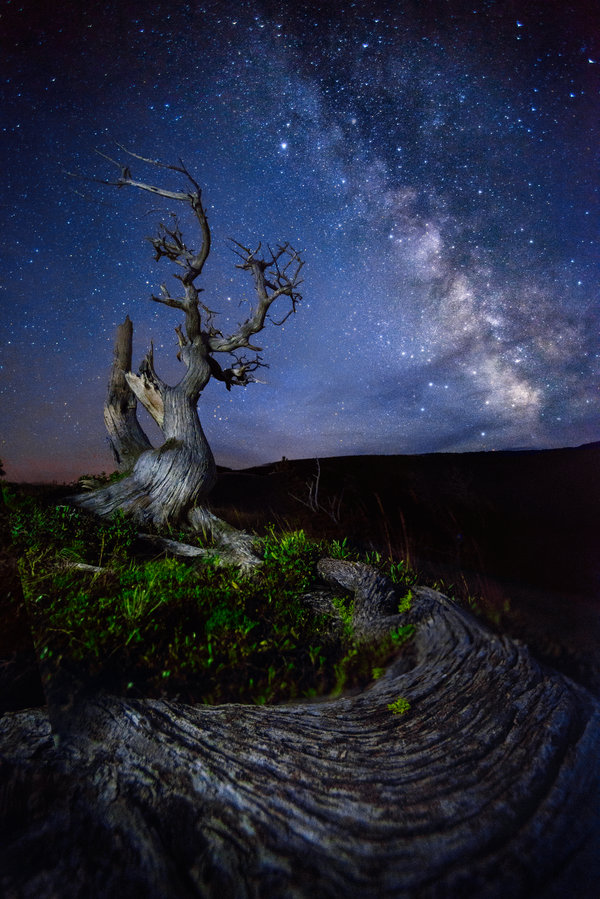 Ad:  night_spirit_by_porbital-d95eqfa.jpg
Gsterim: 276
Boyut:  152.3 KB