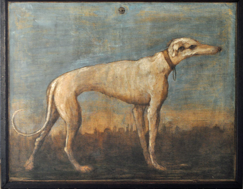 Ad: 800px-Greyhound,_Giandomenico_Tiepolo.jpg
Gösterim: 363
Boyut: 108.4 KB