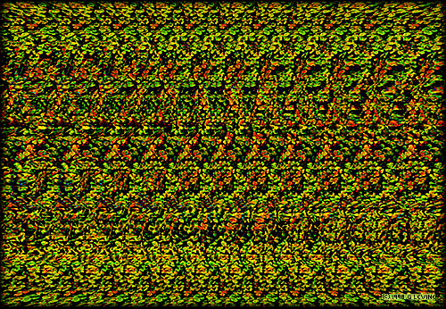 Ad: fallcolr.jpg
Gösterim: 4495
Boyut: 225.9 KB