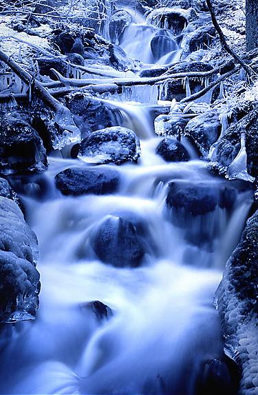 Ad:  Cold_life_in_sleeping_wood.jpg
Gsterim: 960
Boyut:  61.6 KB