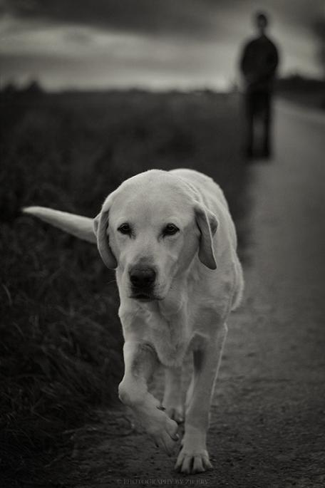 Ad:  Jesse_by_ZjeerY.jpg
Gsterim: 261
Boyut:  35.7 KB