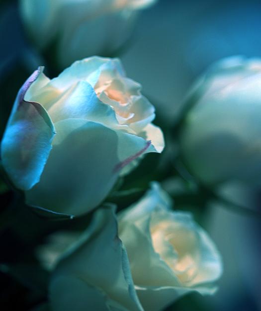 Ad:  Illuminate.jpg
Gsterim: 277
Boyut:  24.0 KB