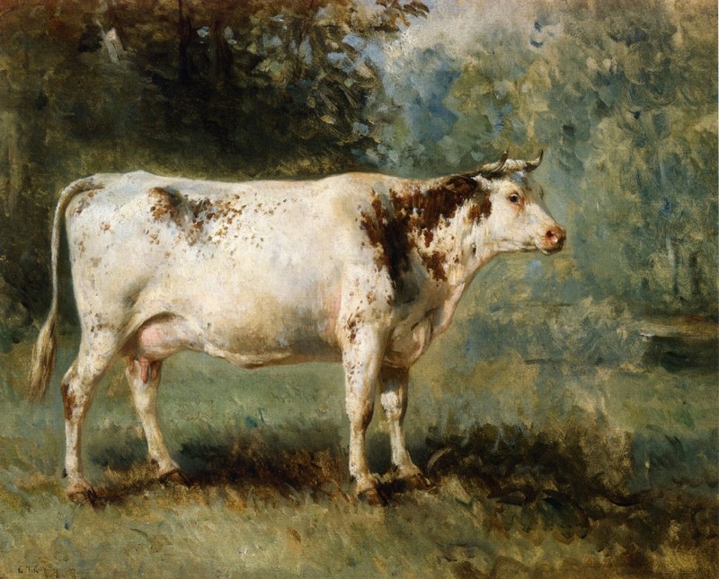 Ad:  a-cow-in-a-landscape.jpg
Gsterim: 435
Boyut:  162.8 KB