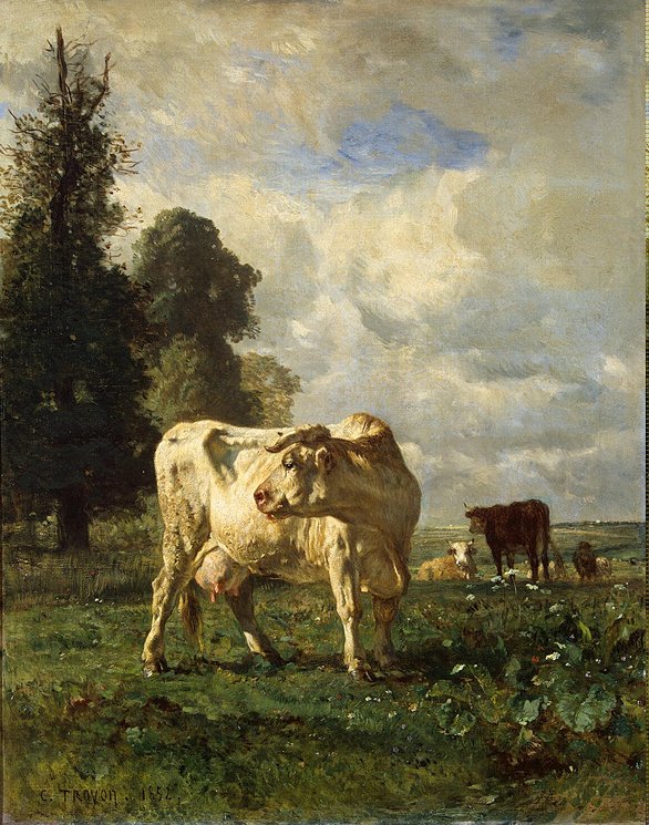 Ad:  Cows-in-the-Field.jpg
Gsterim: 261
Boyut:  133.2 KB