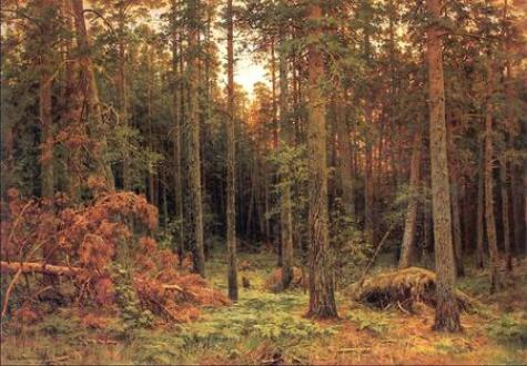 Ad:  Ivan-Ivanovich-Shishkin-1885-piny-Wood.jpg
Gsterim: 472
Boyut:  38.1 KB
