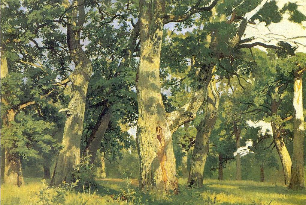 Ad:  Ivan-Shishkin-Oaks-evening-study-for-picture-Oak-wood-.JPG
Gsterim: 700
Boyut:  214.7 KB