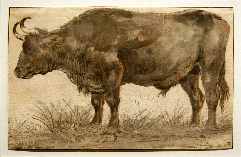 Ad: 800px-Cornelis_Saftleven_-_Staande_stier.JPG
Gösterim: 512
Boyut: 112.5 KB