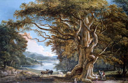 Ad: sandby-a-beech-tree.jpg
Gösterim: 435
Boyut: 82.6 KB
