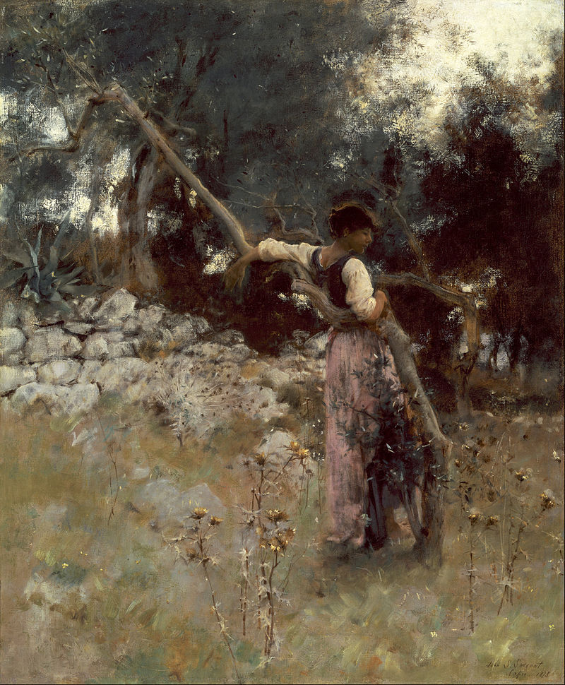 Ad: John_Singer_Sargent_-_A_Capriote_-_Google_Art_Project.jpg
Gösterim: 276
Boyut: 225.8 KB