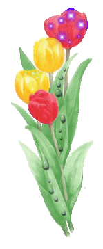 Ad:  blomst100.gif
Gsterim: 2223
Boyut:  44.6 KB