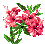 Ad:  xazal.gif
Gsterim: 2272
Boyut:  10.5 KB