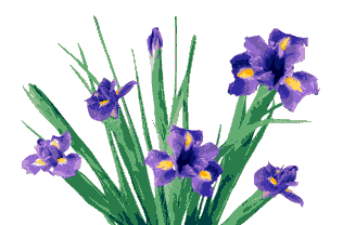 Ad:  iris.gif
Gsterim: 2409
Boyut:  43.3 KB