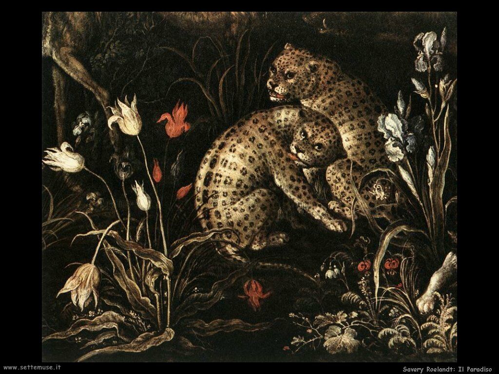 Ad:  savery_roelandt_508_the_paradise.jpg
Gsterim: 574
Boyut:  172.9 KB